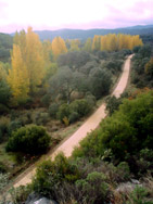 labicicletaverde