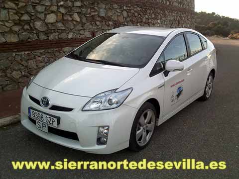 taxiforero