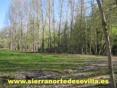 Camping La Fundición