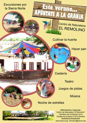 Remolino