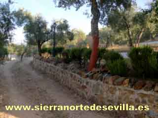 casa rural el alamillo
