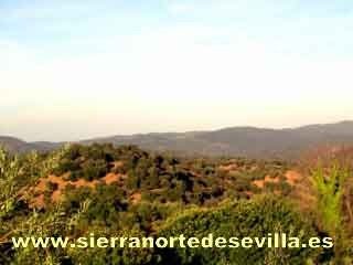 casa rural el alamillo