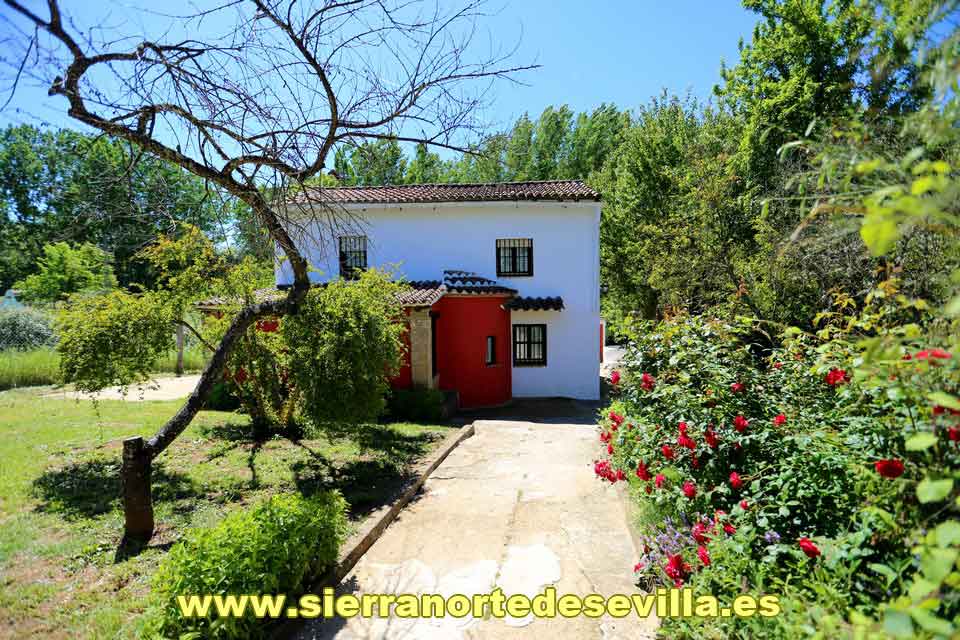 abrir galeria de fotos el ruiseñor