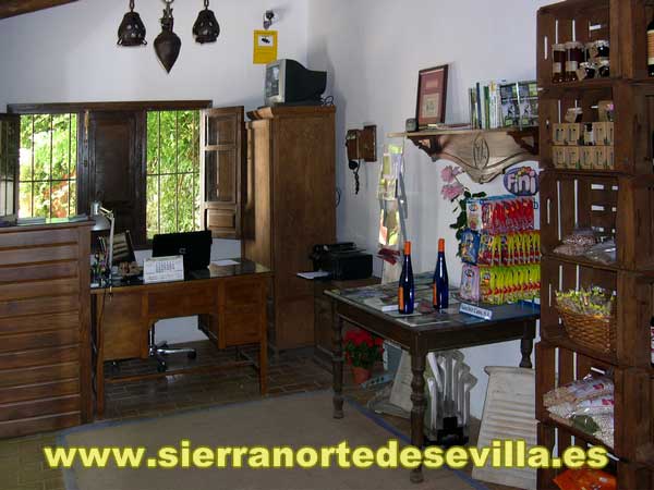 abrir galeria de fotos tienda
