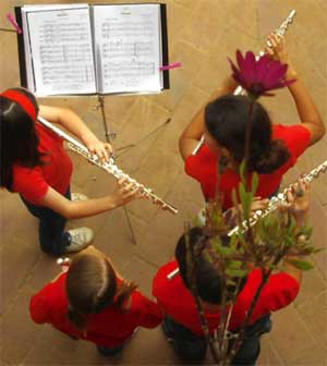 campamento-musical