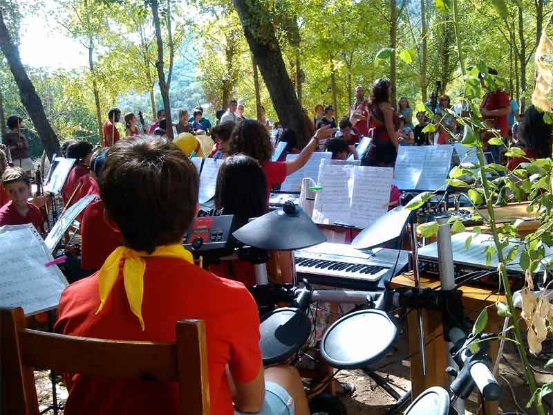 campamento-musical