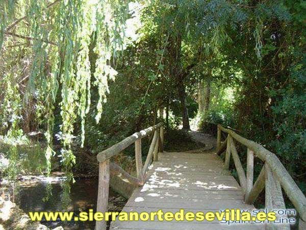nacimiento del hueznar