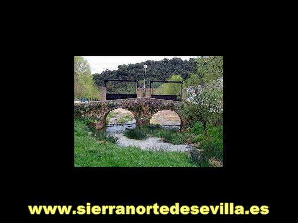 nacimiento del hueznar