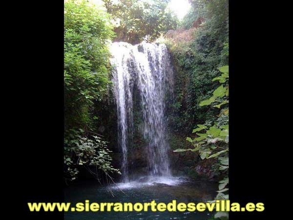 nacimiento del hueznar