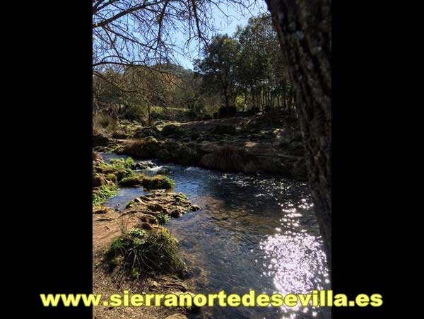 nacimiento del hueznar
