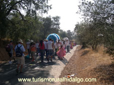 romeria en Cazalla