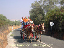 romeria en Cazalla