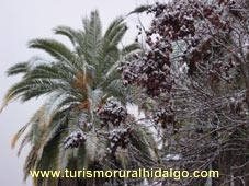 nieve nieve en Cazalla de la Sierra