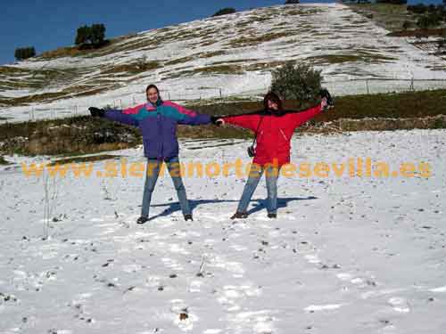 nieve