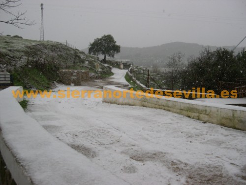 nieve