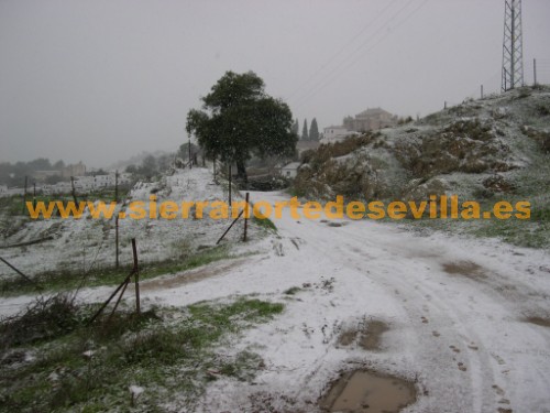 nieve