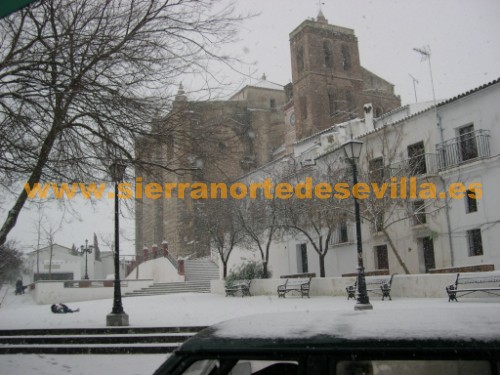 nieve