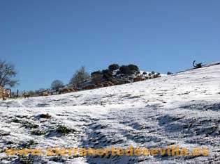 nieve en la sierra norte de sevilla