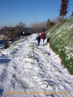 nieve en la sierra norte de sevilla