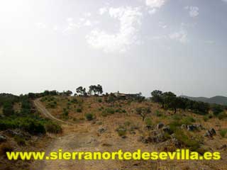 abrir galería de fotos finca en guadalcanal
