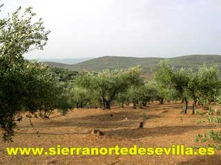 abrir galería de fotos finca en guadalcanal