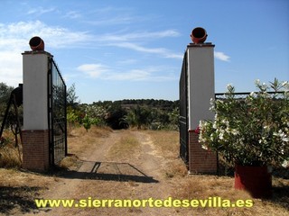 galería de fotos Casa Las Colonias