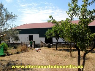 galería de fotos Casa Las Colonias