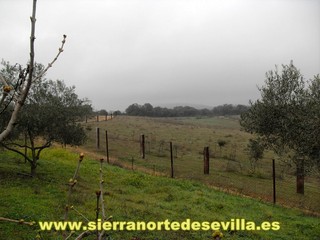 galería de fotos Casa Las Colonias