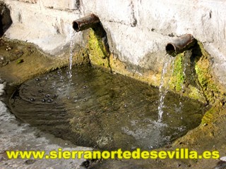galería de fotos Restaurante Agustina